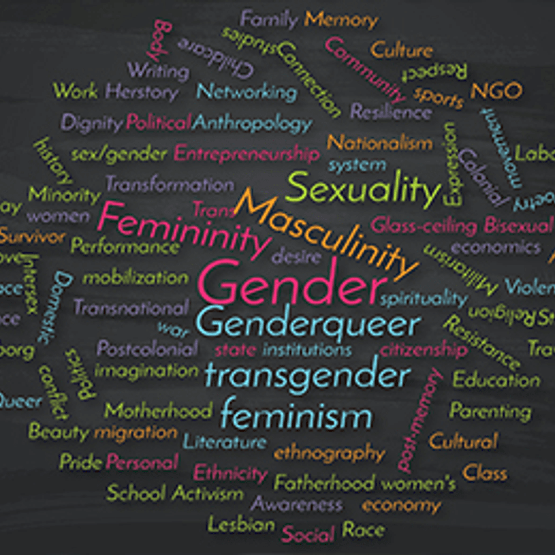 phd gender studies online