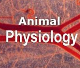 Human and animal physiology - Cover